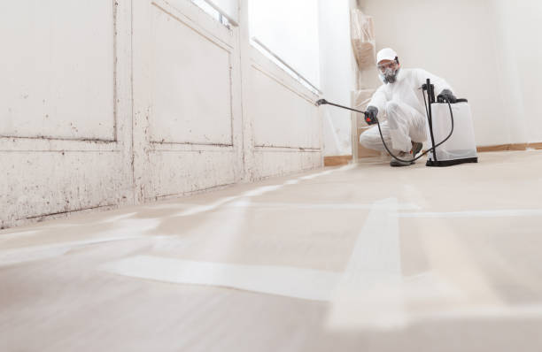 24/7 Emergency Mold Remediation experts in East Islip, NY